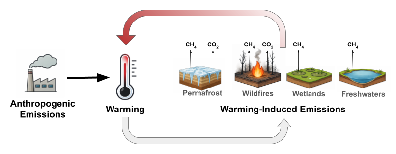Diagram: anthropogenic emissions cause warming, which triggers warming-induced emissions of methane and carbon dioxide from permafrost, wildfires, wetlands, and freshwaters, which cause further warming, closing the feedback loop.