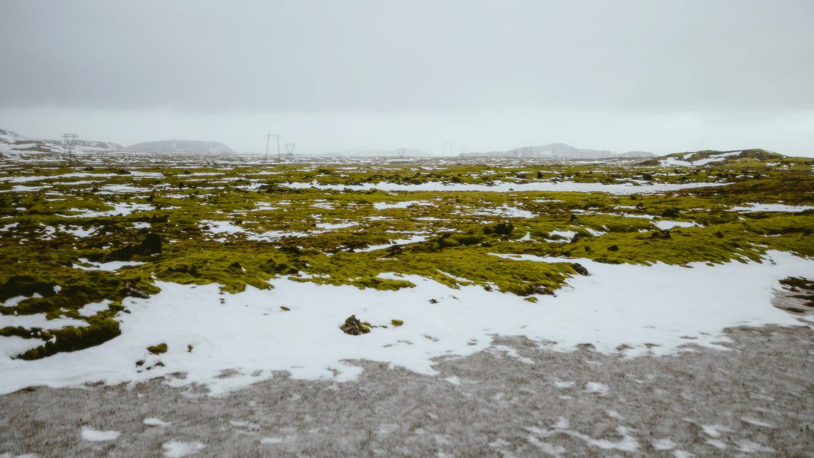 Snow-patched permafrost tundra landscape with moss and lichen ground cover, under an overcast sky.