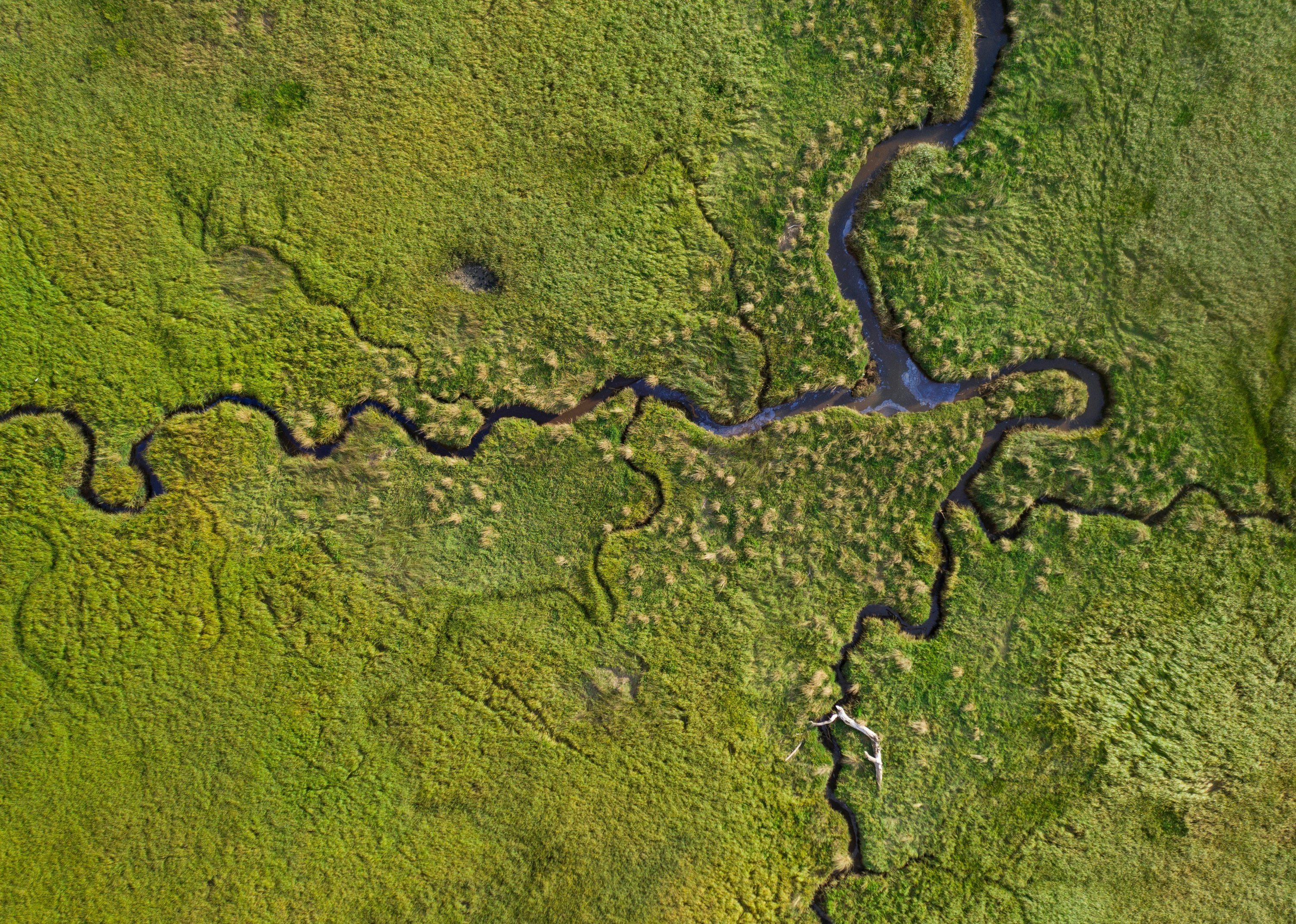 Aerial river through wetlands