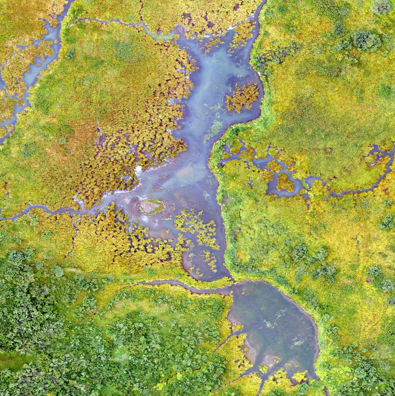 Aerial view of wetlands