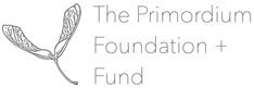 The Primordium Foundation + Fund